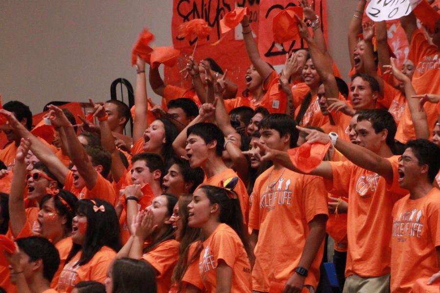The winning senior class stands and cheers at the closing homecoming assembly on September 13, 2013. All classes participated in the step and class cheer competitions, but results were not revealed until the next night at the homecoming football game.