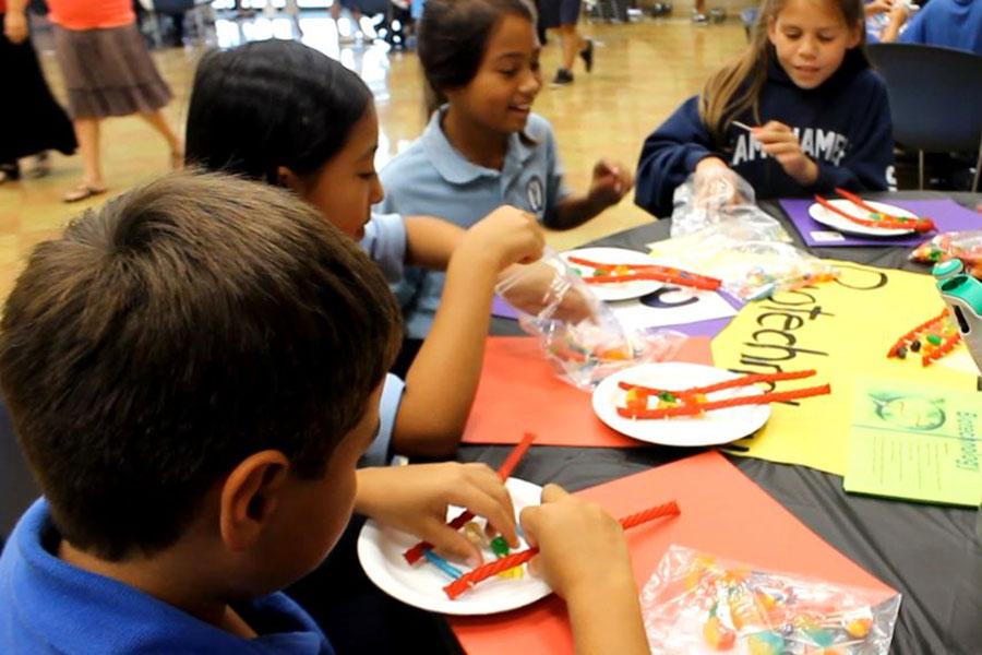 Fourth grade students explore health occupations during the HOSA Health Career Day at Nāmāhana Dining Hall yesterday, Nov. 6. Here, students create DNA using candy.
