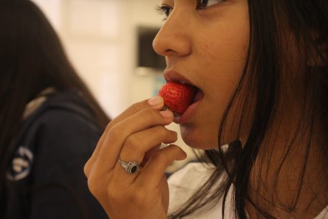 After dissolving a miracle berry on a tongue, the tongue's taste buds become temporarily altered. Deven's strawberry tasted extra sweet, almost like candy, thanks to the miraculin in the miracle berry tablet.