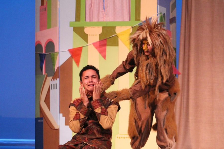 The Lion, played by Taytum Herrick, attacks Androcles (Maverick Akana) in the Drama Clubʻs performance of ʻAndrocles and the Lion. The play opens this weekend for a 2-weekend run at Keōpūolani Hale.