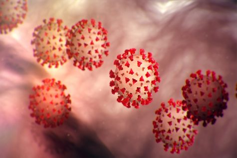 According to The CDC, The CDC is closely monitoring an outbreak of respiratory illness caused by a novel (new) coronavirus first identified in Wuhan, Hubei Province, China. Cases of COVID-19 also are being reported in a growing number of countries internationally, including the United States. There are ongoing investigations to learn more.