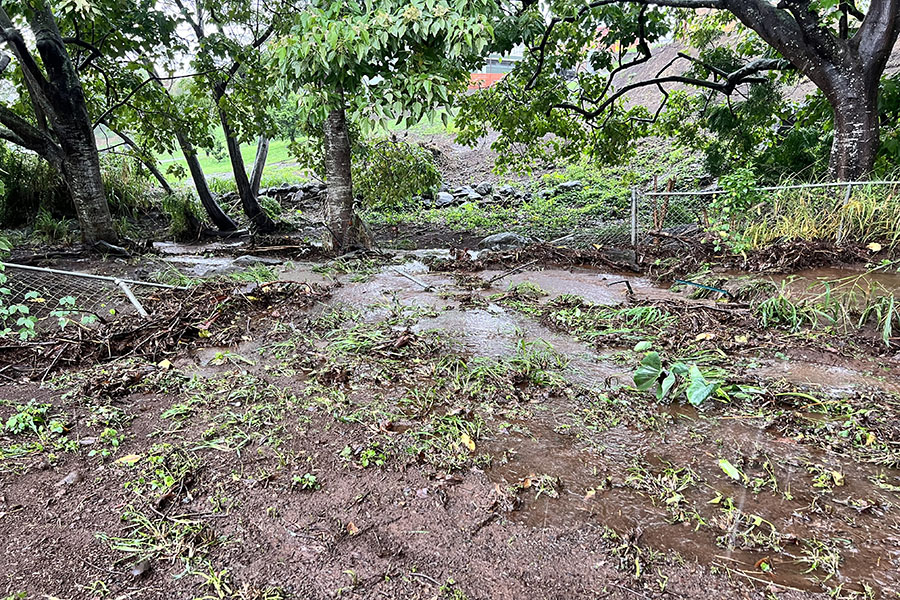 Our backyard fence was wiped out this weekend during a storm that dropped up to 13 inches of rain in some areas of the island.