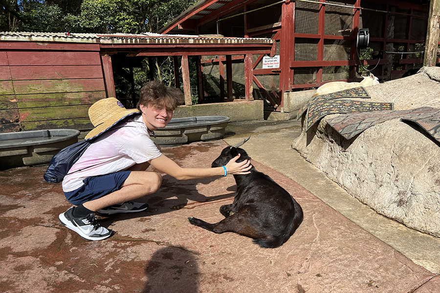 Petting a goat