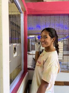 Alaula Kaopuiki-Santos, vice president of Just Serve, paints inside the cat sanctuary during her volunteer visit at the zoo. (Photo by <a href="https://kaleoonakoa.org/staff_profile/allie-kennedy/">Allie Kennedy</a>)